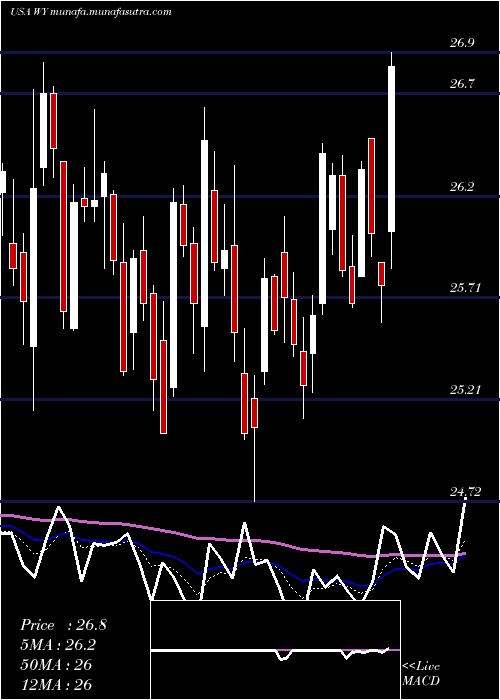  Daily chart WeyerhaeuserCompany
