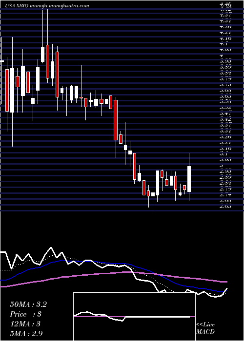  Daily chart XeneticBiosciences