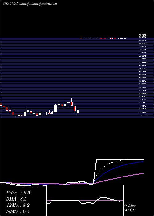  Daily chart YMabs